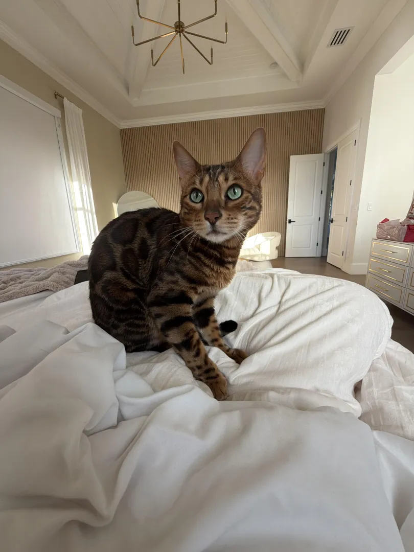 Do you know his name?! posted by JadeTeen18