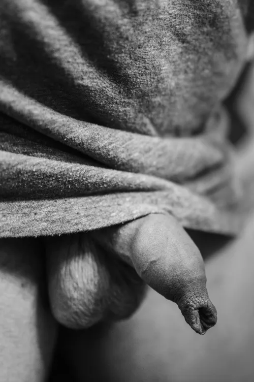 Do you like b&w or color ? by Aggravating_Emu_5568