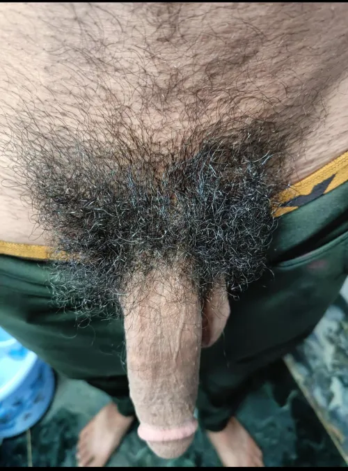 Do you like my hairy cock by Am000012