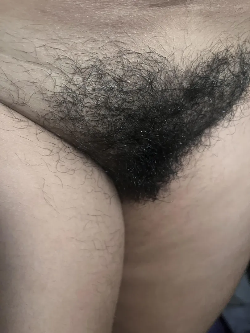 Do you like this bush??? <3 posted by Glittering_girlf4989