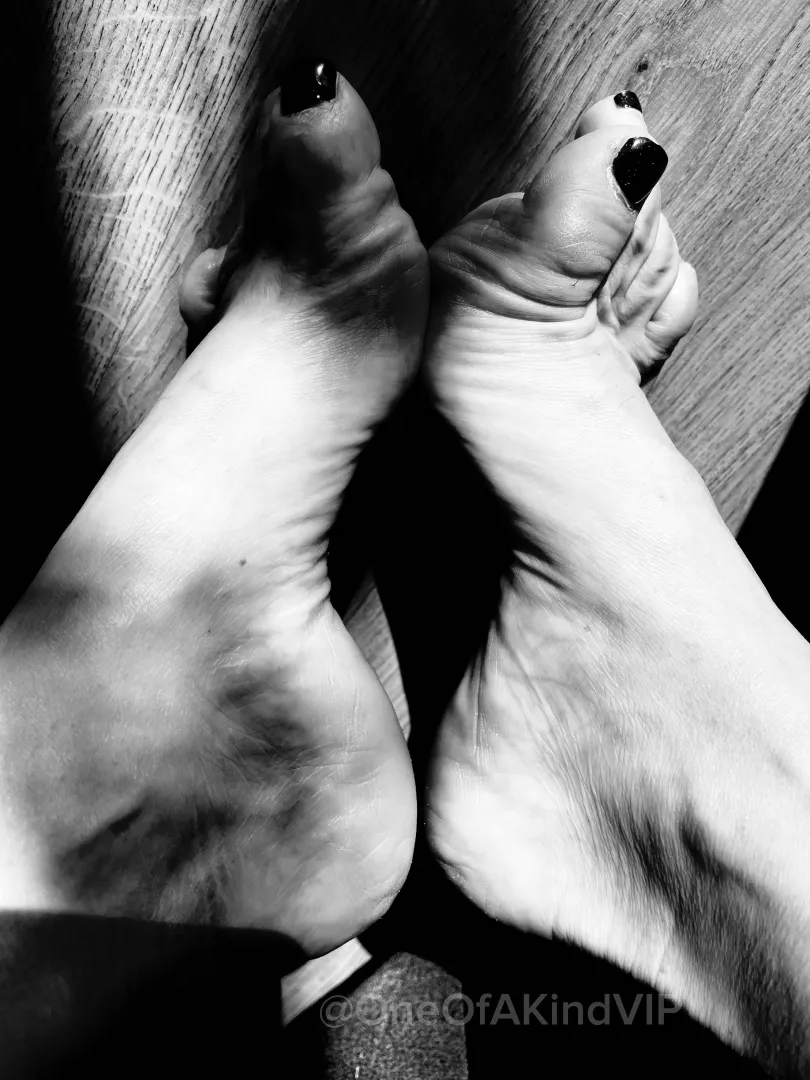 Do you notice what’s missing? posted by SoftToDarkFeet