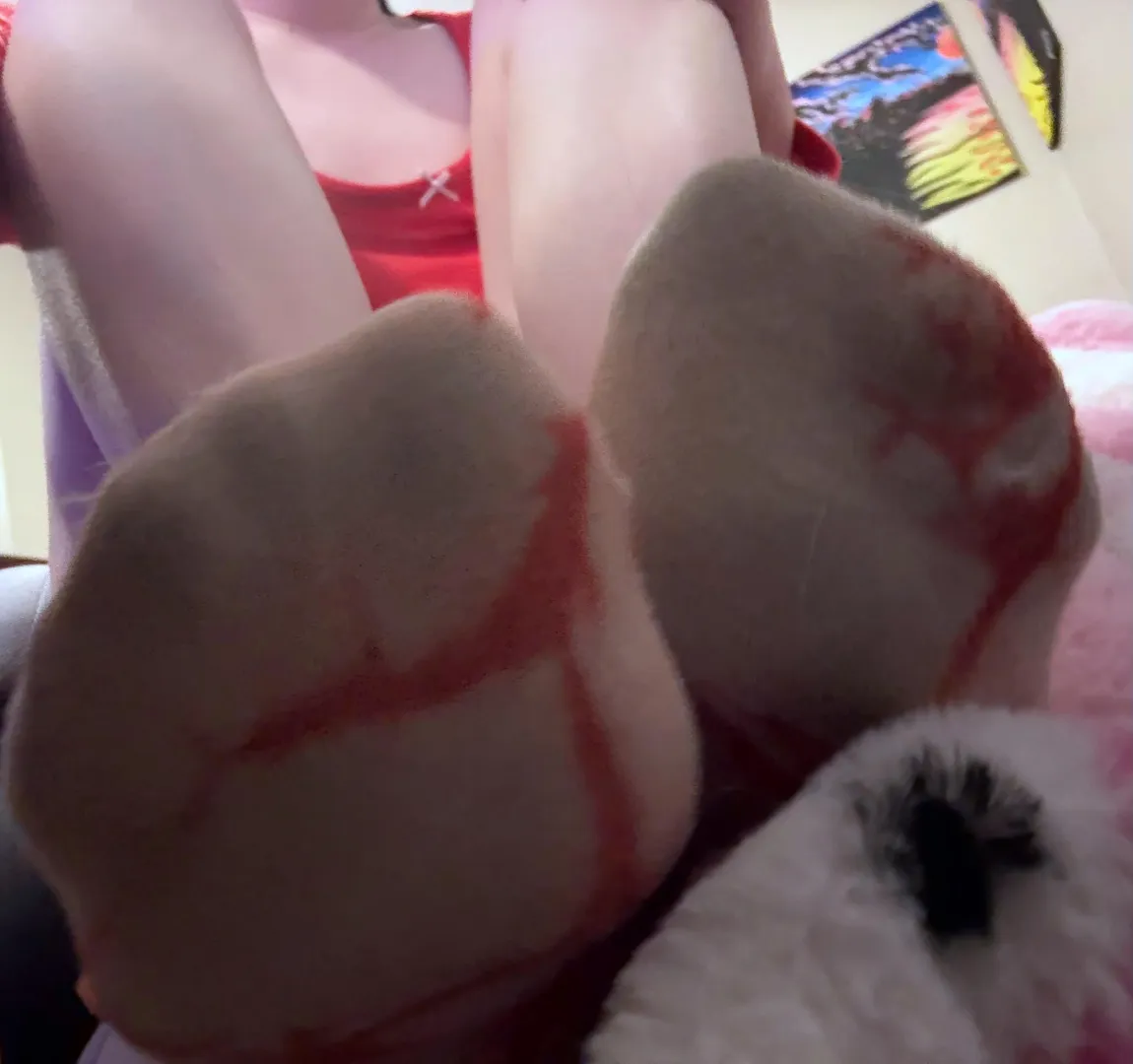 do you prefer dirty socks? or should i put on clean ones? posted by findom_queenbee