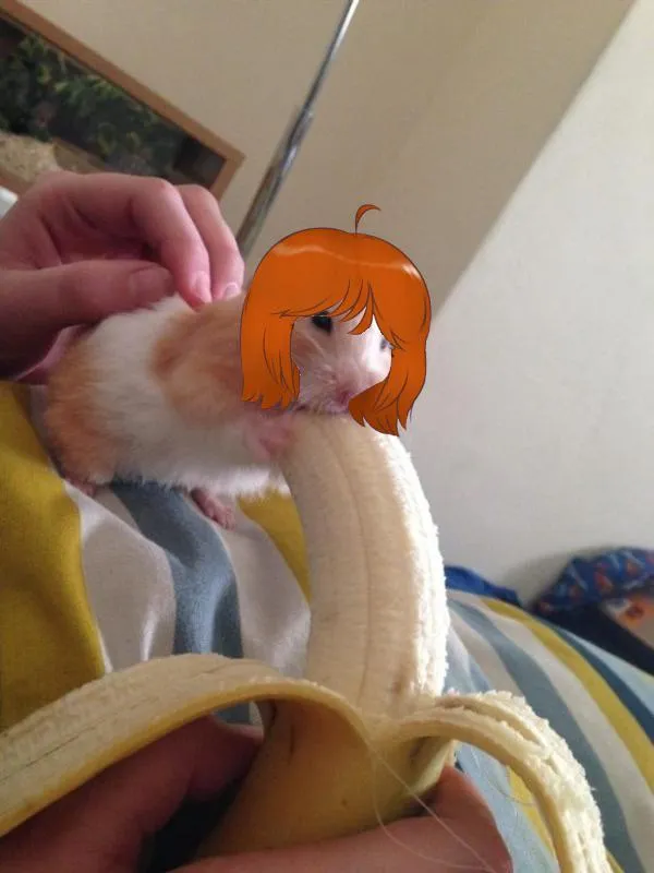 Do you see banana man? posted by Palu_Tiddy