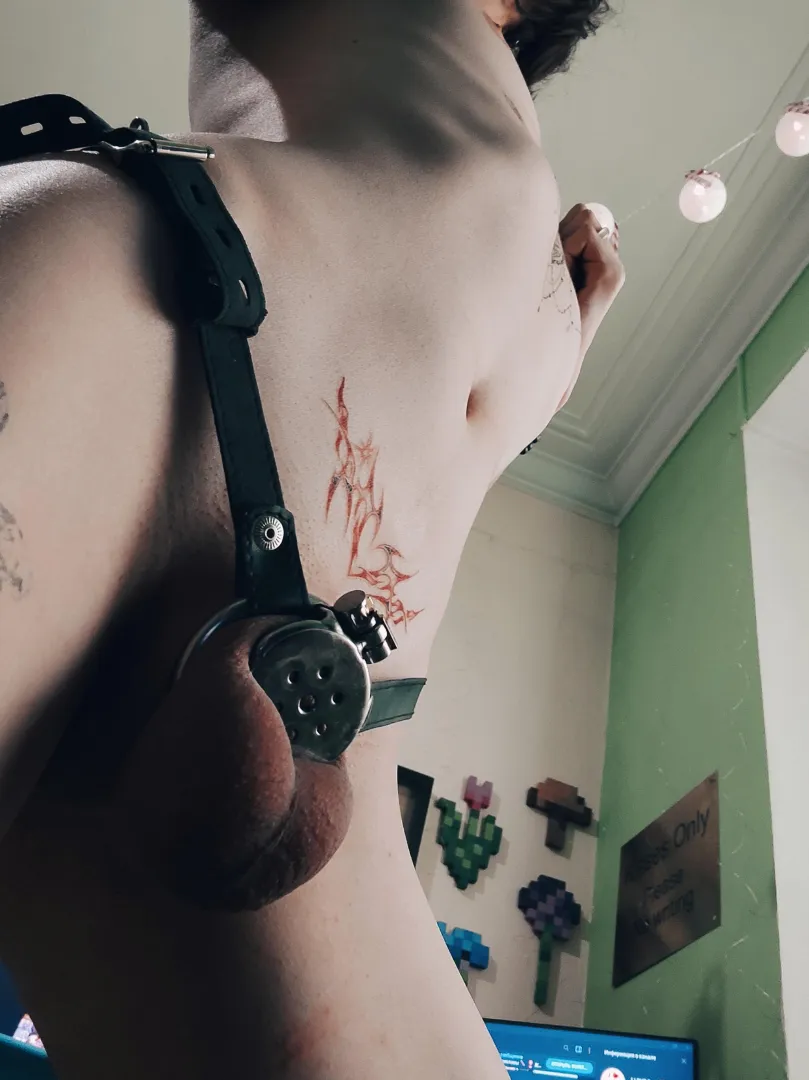 Do you think my cute caged cock is attractive? posted by cloudmechanic7