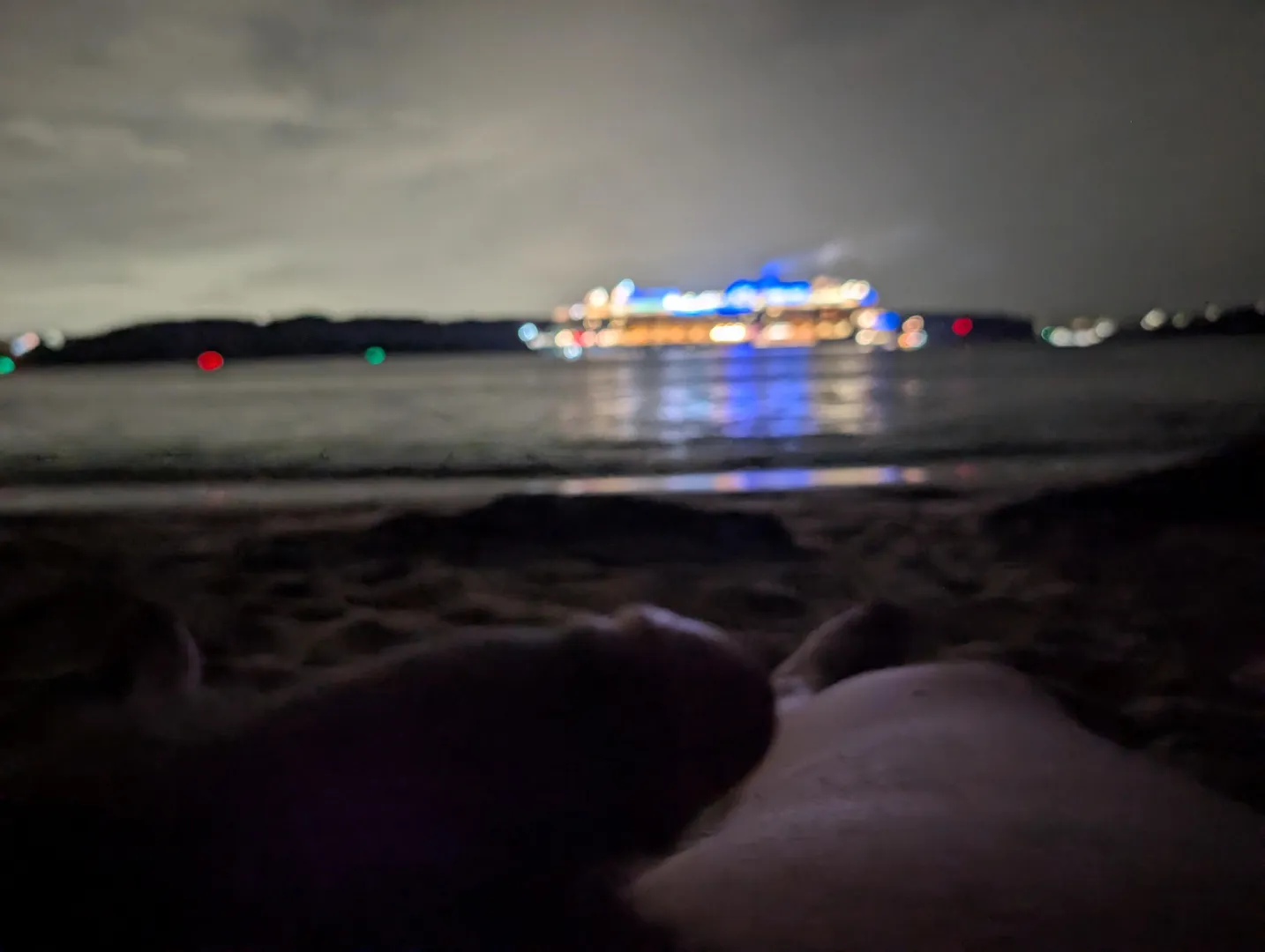Do you think the cruise passengers liked the view of my soft cock? posted by hornarific