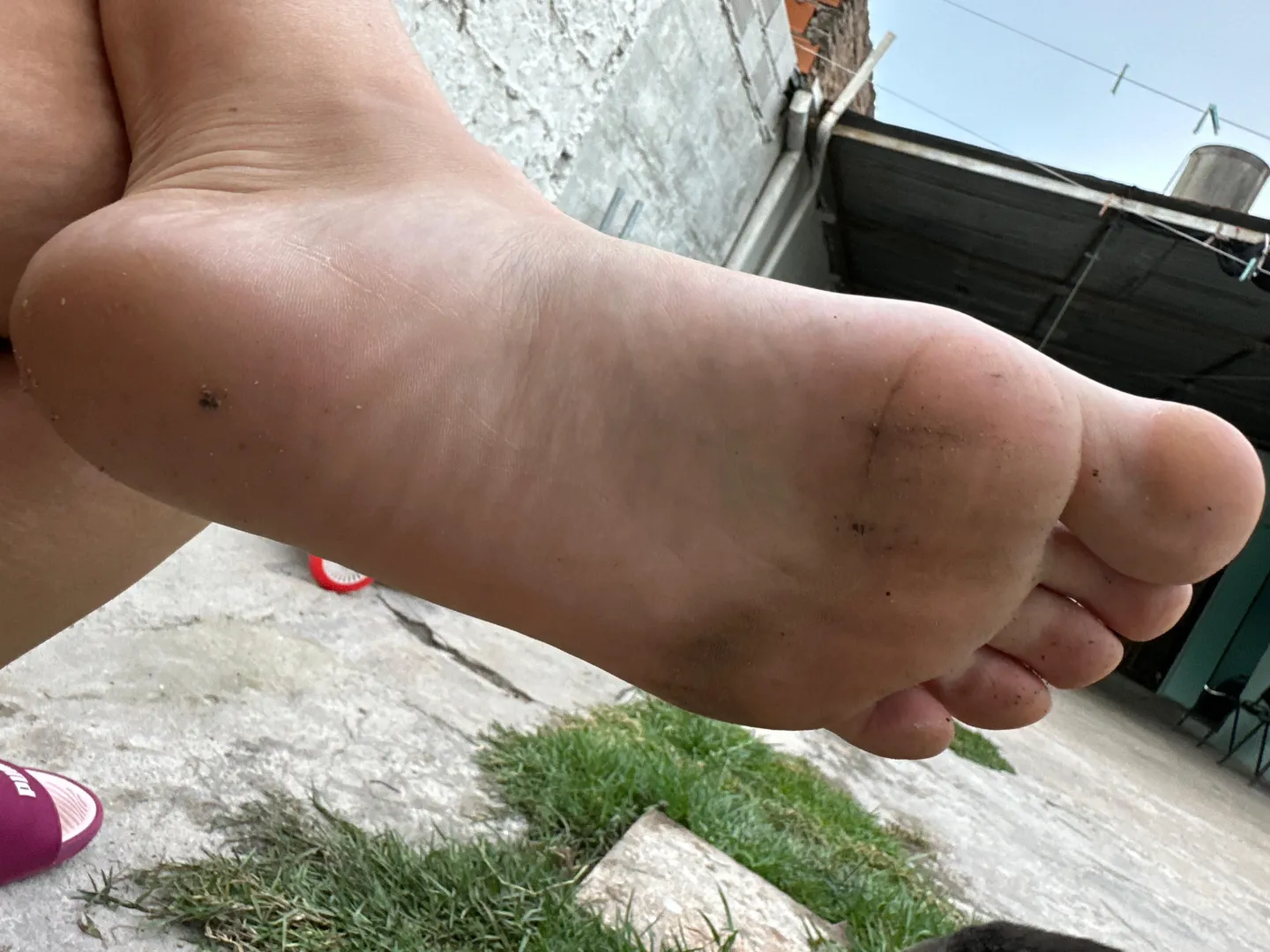 Do you want me to do it because of your decision, or do I force you to? posted by luuly123hot