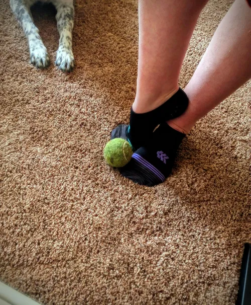 Do you want to play??? by doris_still