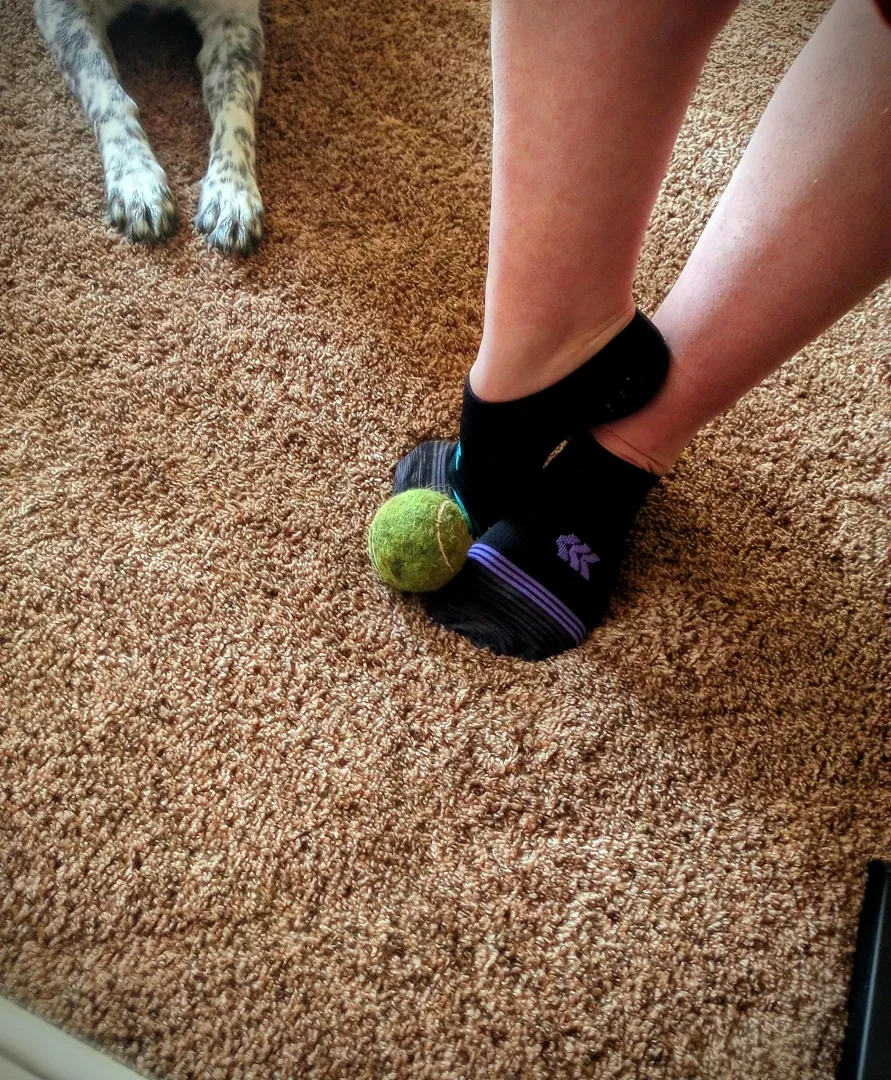 Do you want to play??? posted by doris_still