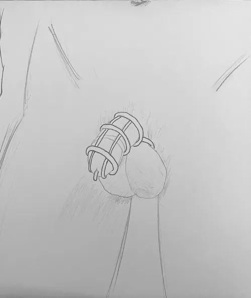 Does a cage like this exist? by gekoecho