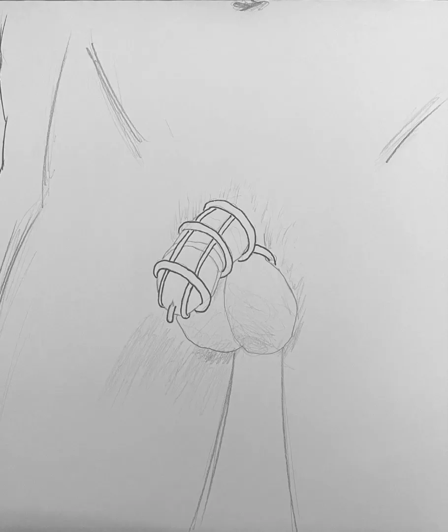 Does a cage like this exist? posted by gekoecho