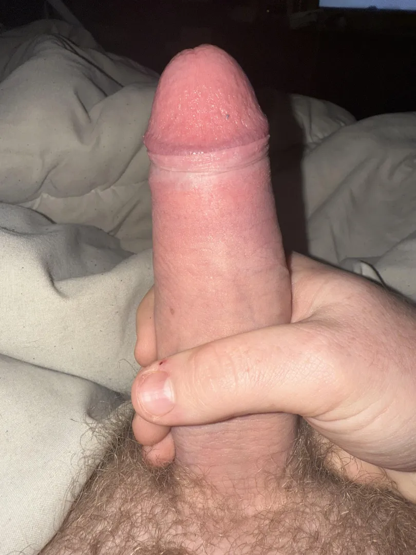 Does it deserve pussy posted by Mundane-Match-9280