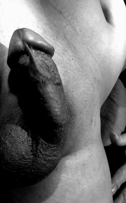 Does this make the cut  by WilhelmYR