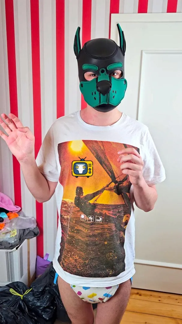 Does this padded dog deserve a reward?  posted by WindelTV