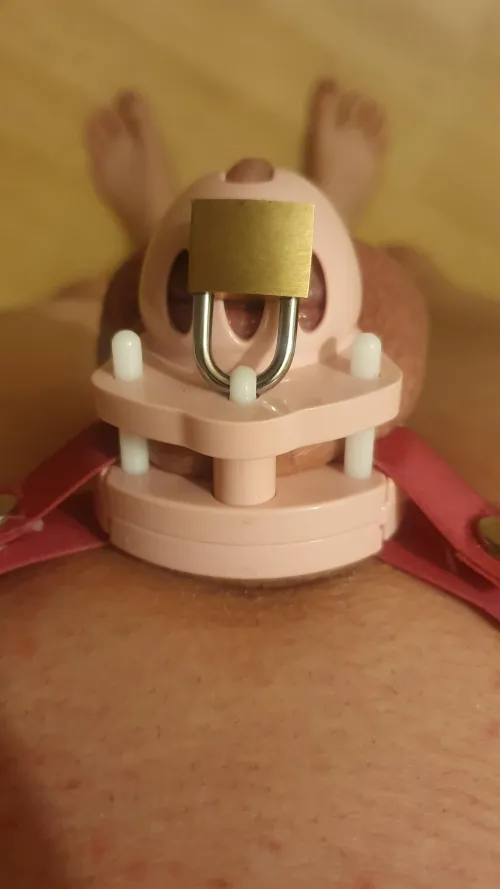 Down To A Micro Cage by OwnedChastitySlut