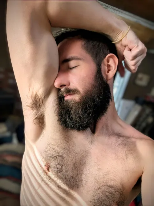 Dripping  in the morning sun by my414