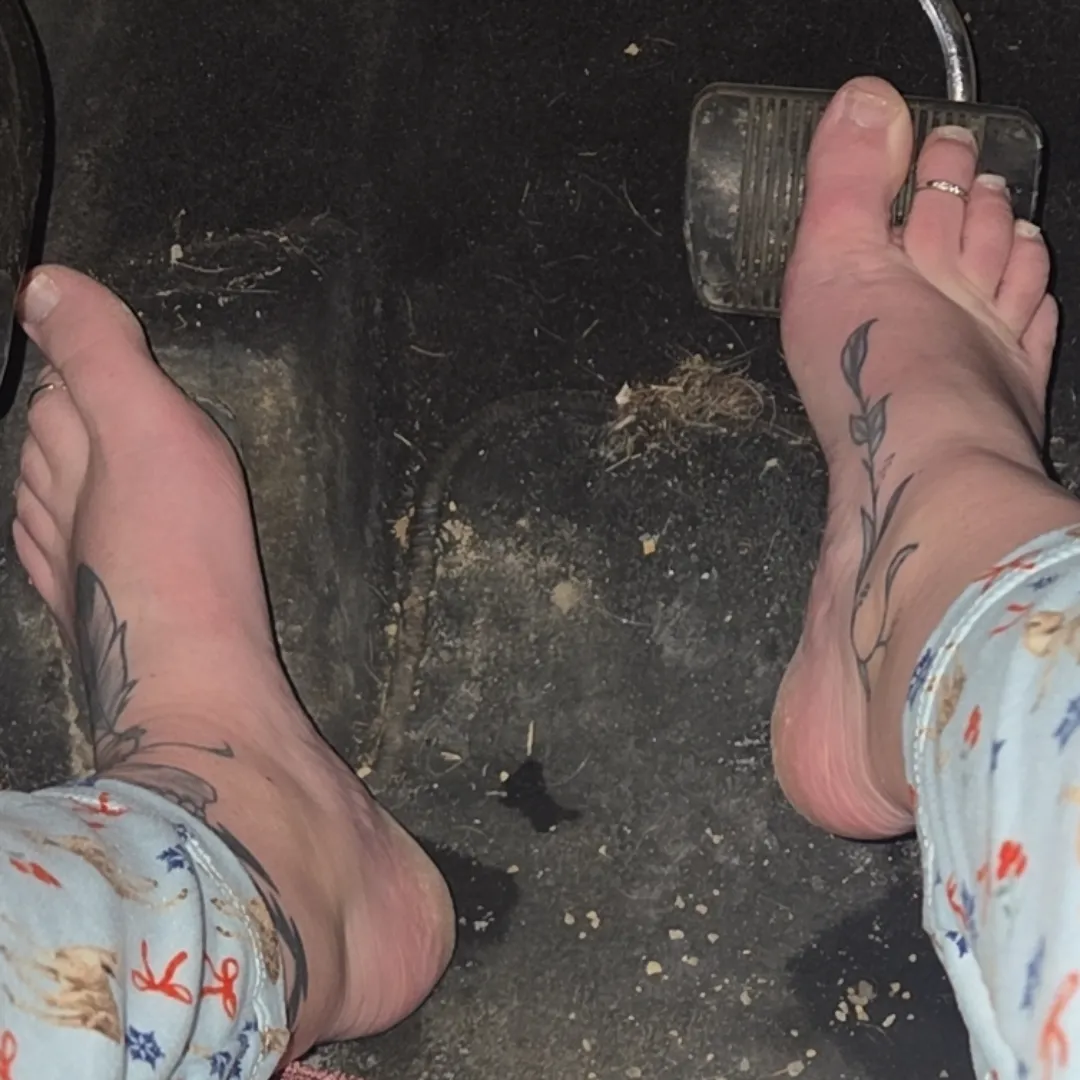 Driving home tonight posted by darkrommom