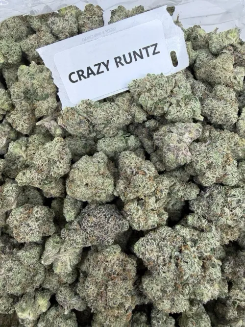 DTX ⛽️ by D-F-W-K-I-N-G