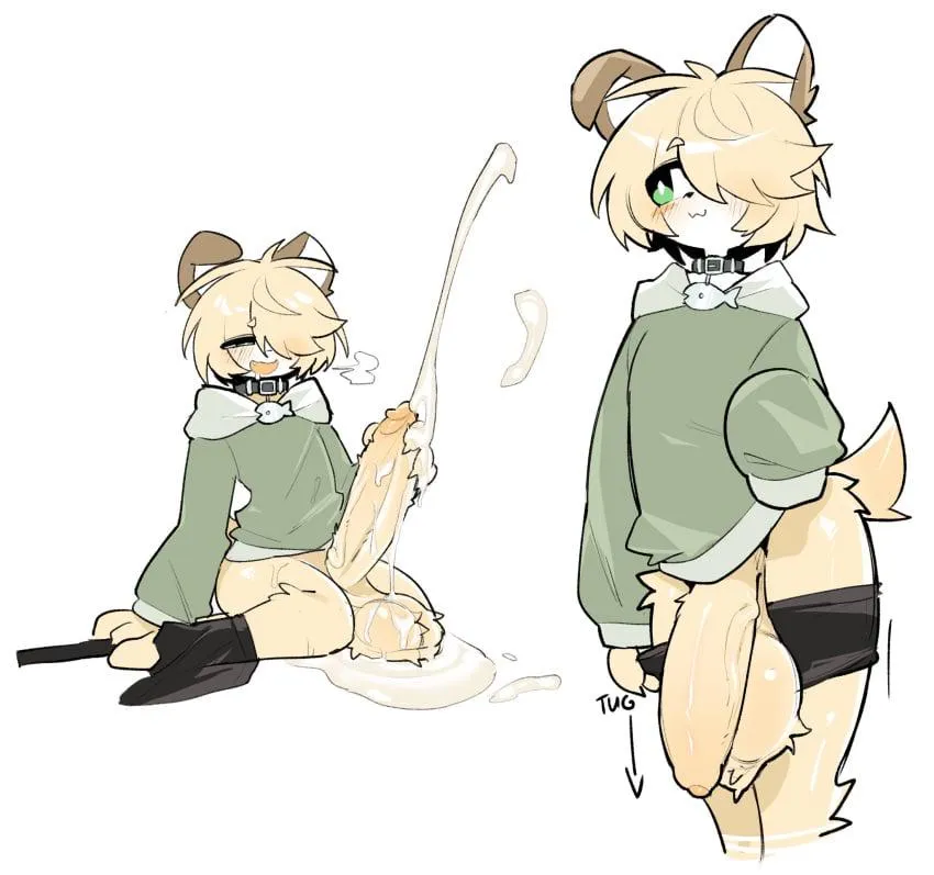 Dulce y adorable cachorro en adopción, no es difícil de cuidar solo necesita de tu atención y mimos, Le encanta jugar e ir de paseo con su dueño o dueña, puede ser algo agresivo y morderlon, ten cuidado ya que es muy territorial con lo que es de su  posted by FemboyLoveDom19