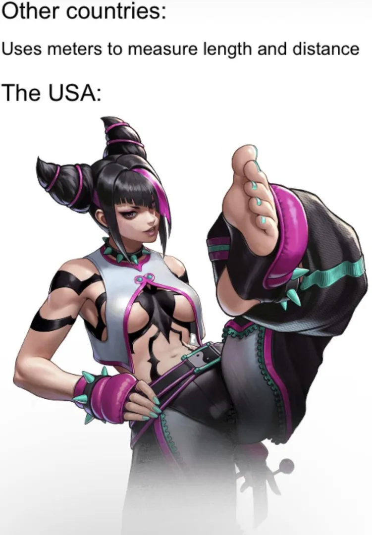 dumb meme posted by RequirementTall8361