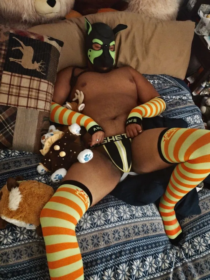 Dumb puppy cuck posted by YabbaDabbaDeer