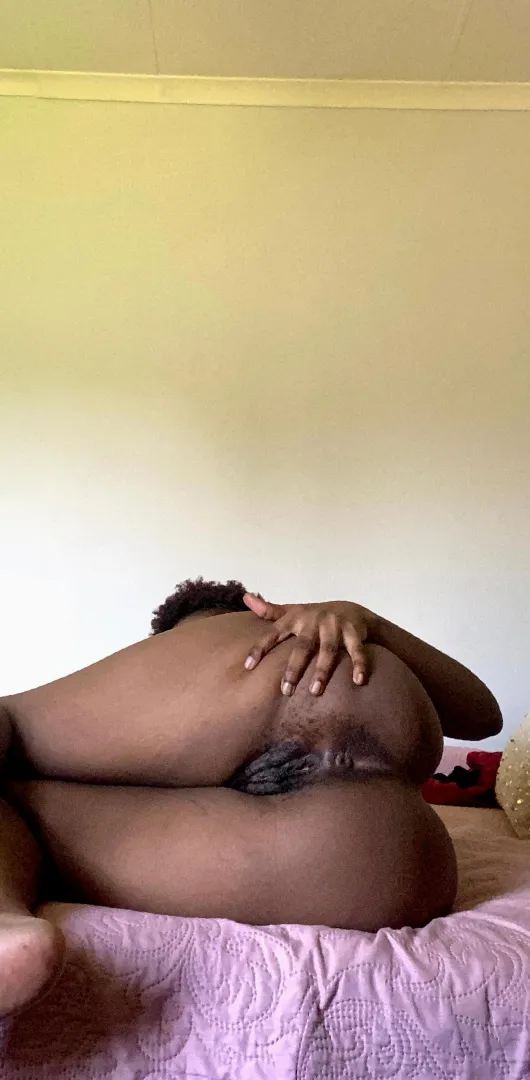 Ebony breeding material posted by ShanonisC