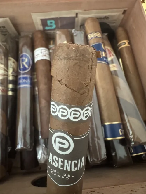 Effects of a cheap cutter on a premium cigar :( by Successful_Ice5522