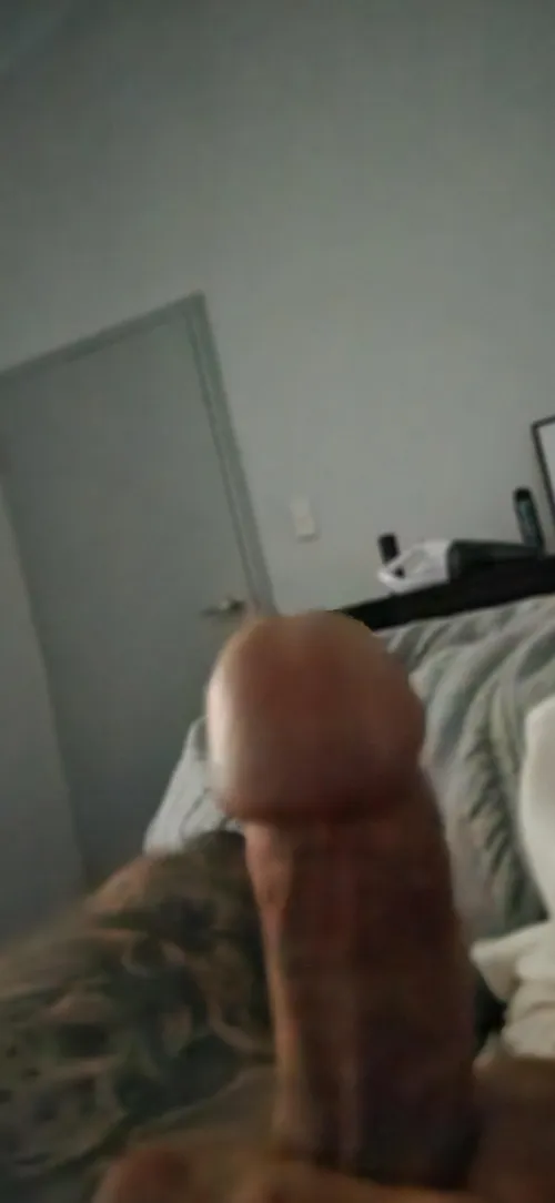 Enfield gh? Any takers... by Huddson_2025