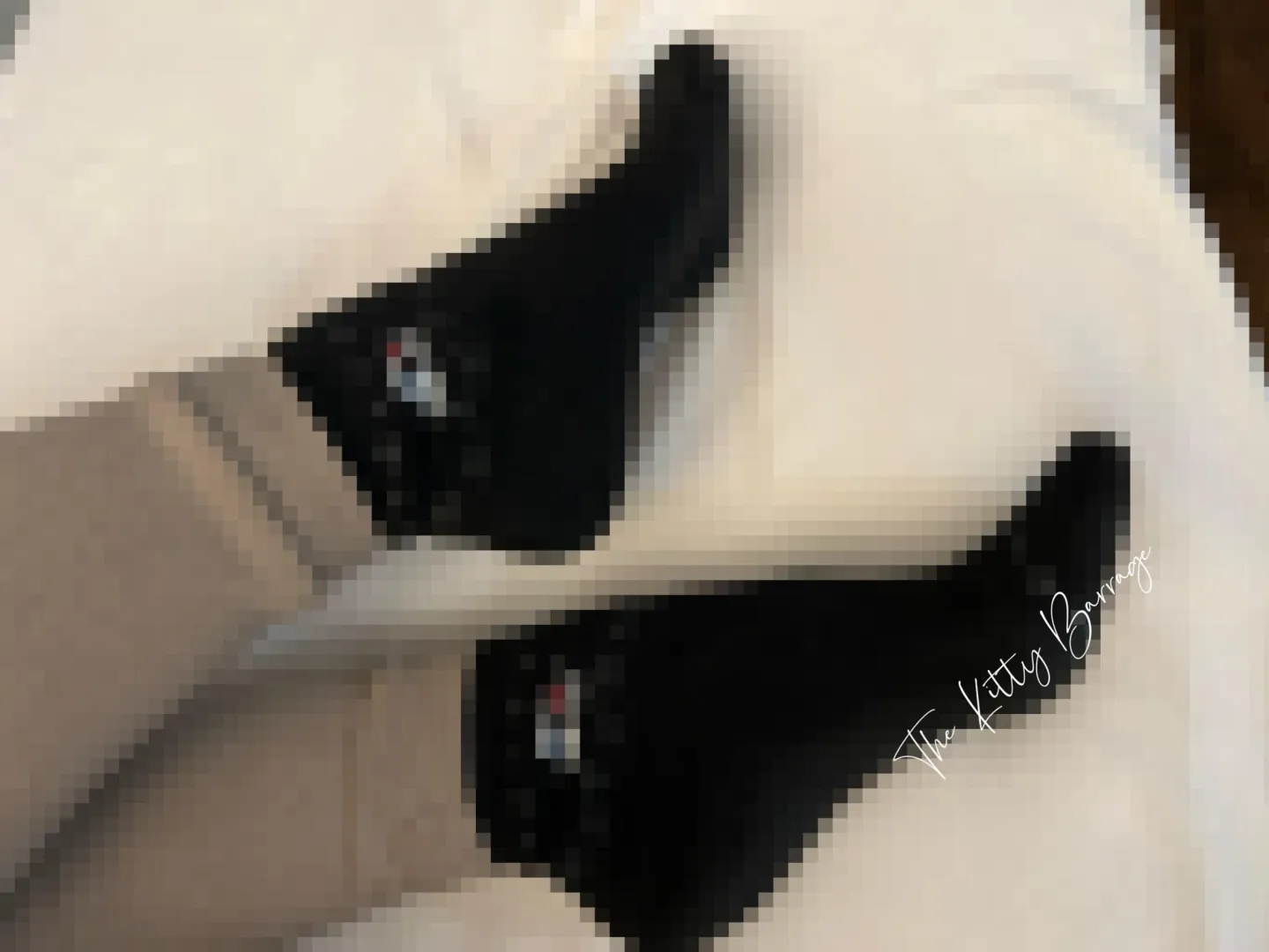 Enjoying my holiday break with some cozy thick wool socks  posted by kitkatkittykatcat