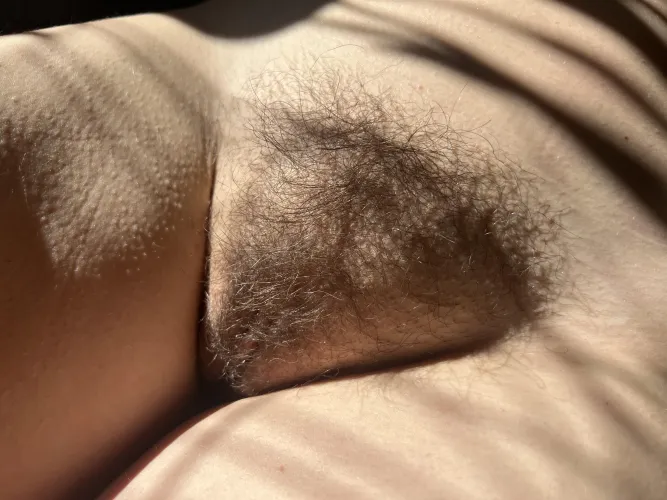 Enjoying the warm afternoon sun by Happy-Kitchen-1263