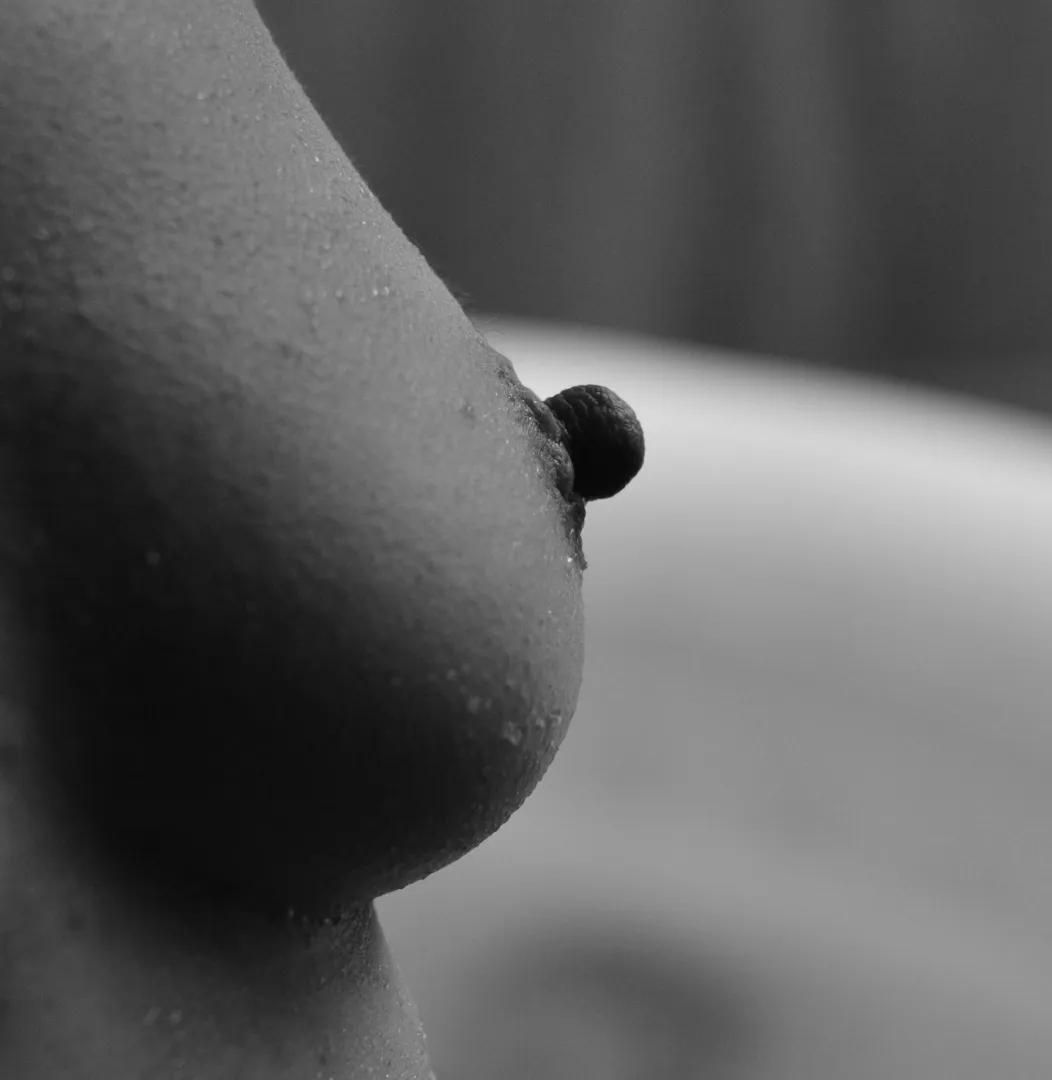 Erect posted by Matthewb861