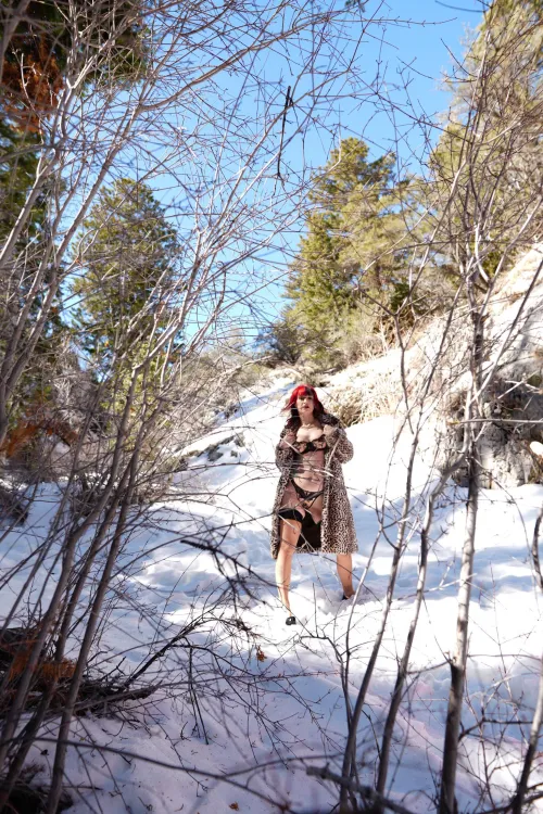 Esme in the snow by spicyyyjesss