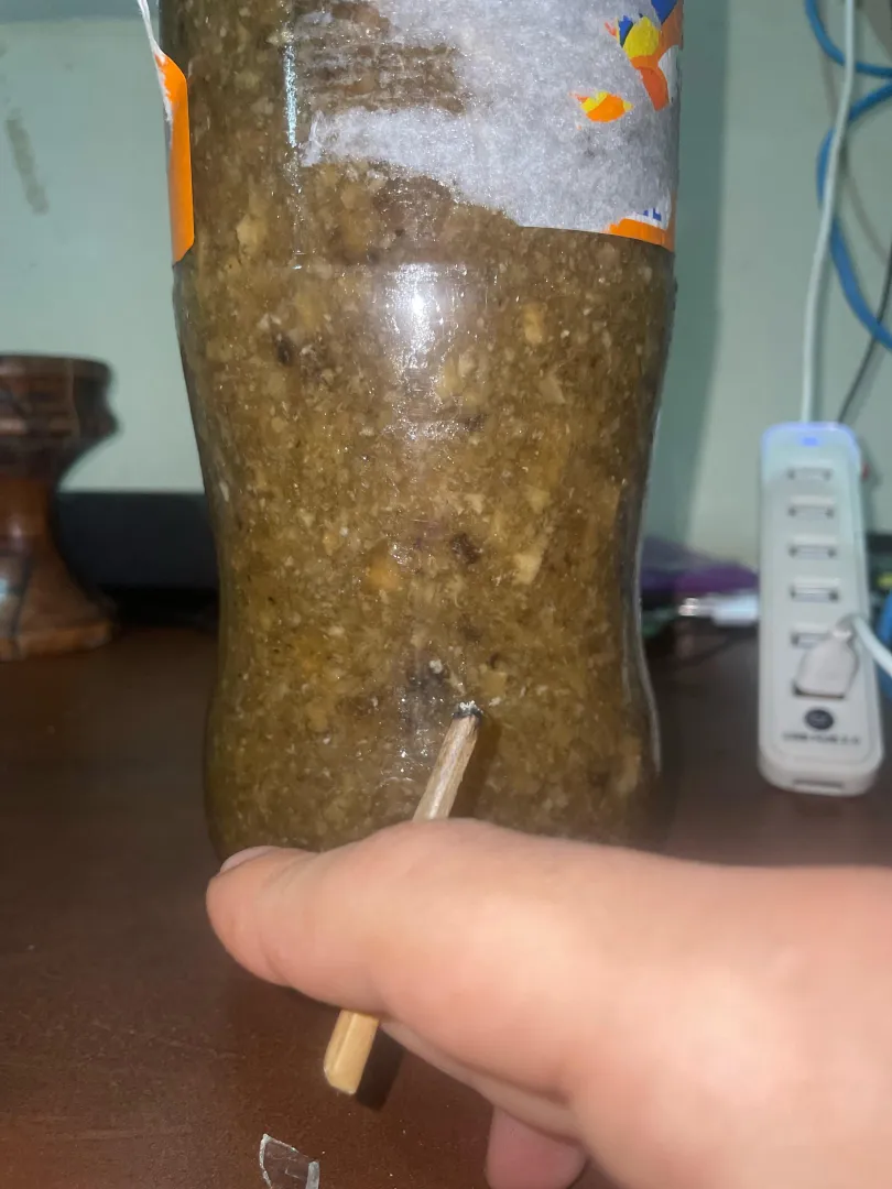 Eu te amo Mescalina ❤️ posted by Prestigious-Side5952