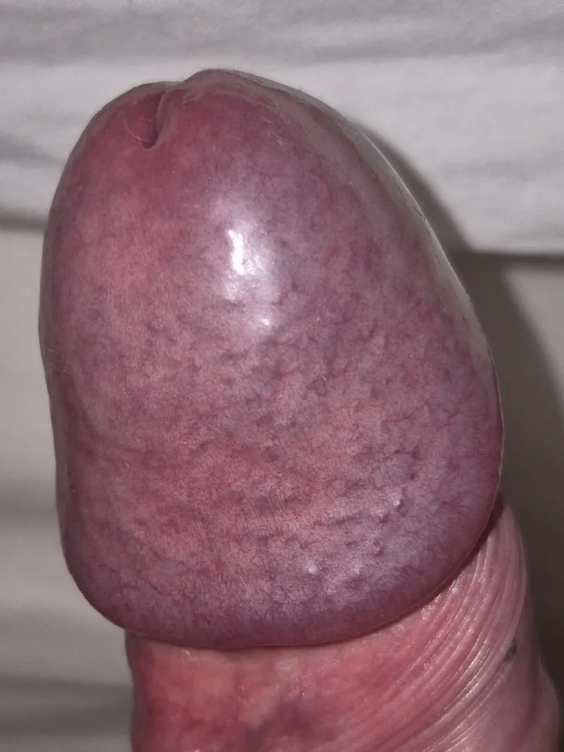 Exotic mushroom posted by Pale_Relative_9601