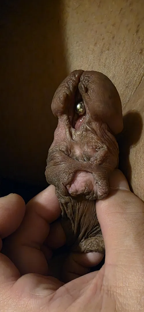 Expansion is great, but proceed with caution by Fun-Youth2508