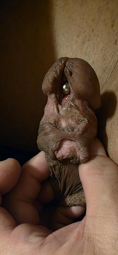 Expansion is great, but proceed with caution posted by Fun-Youth2508