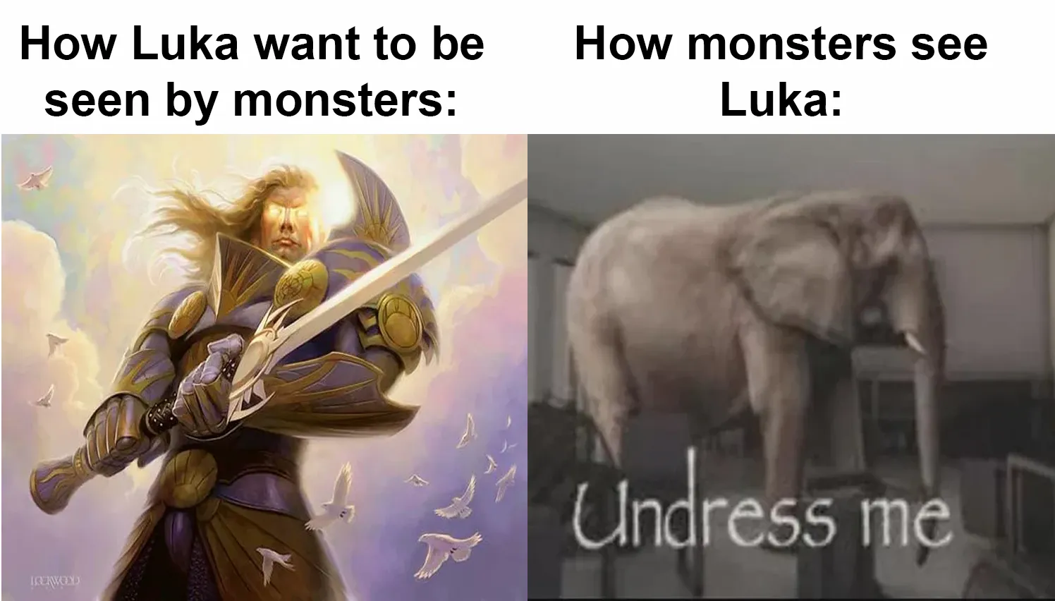 Expectation VS reality posted by araiki