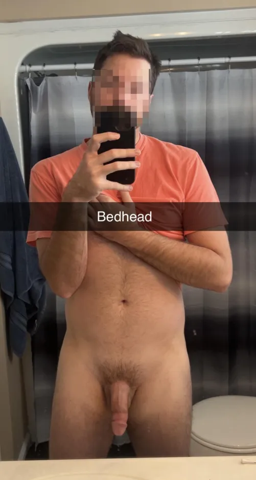 Experienced Bull for hotwife; Bham, HSV, Tuscaloosa by JaxTorrence