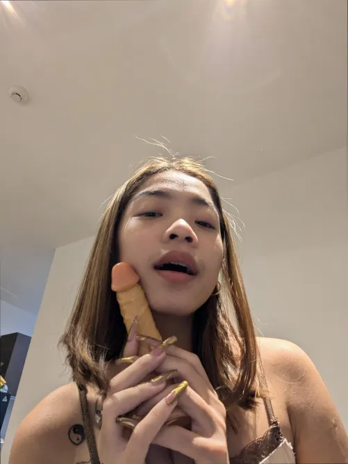 Exploring new sensations tonight. Which one should I try first? by RegularOneOnly