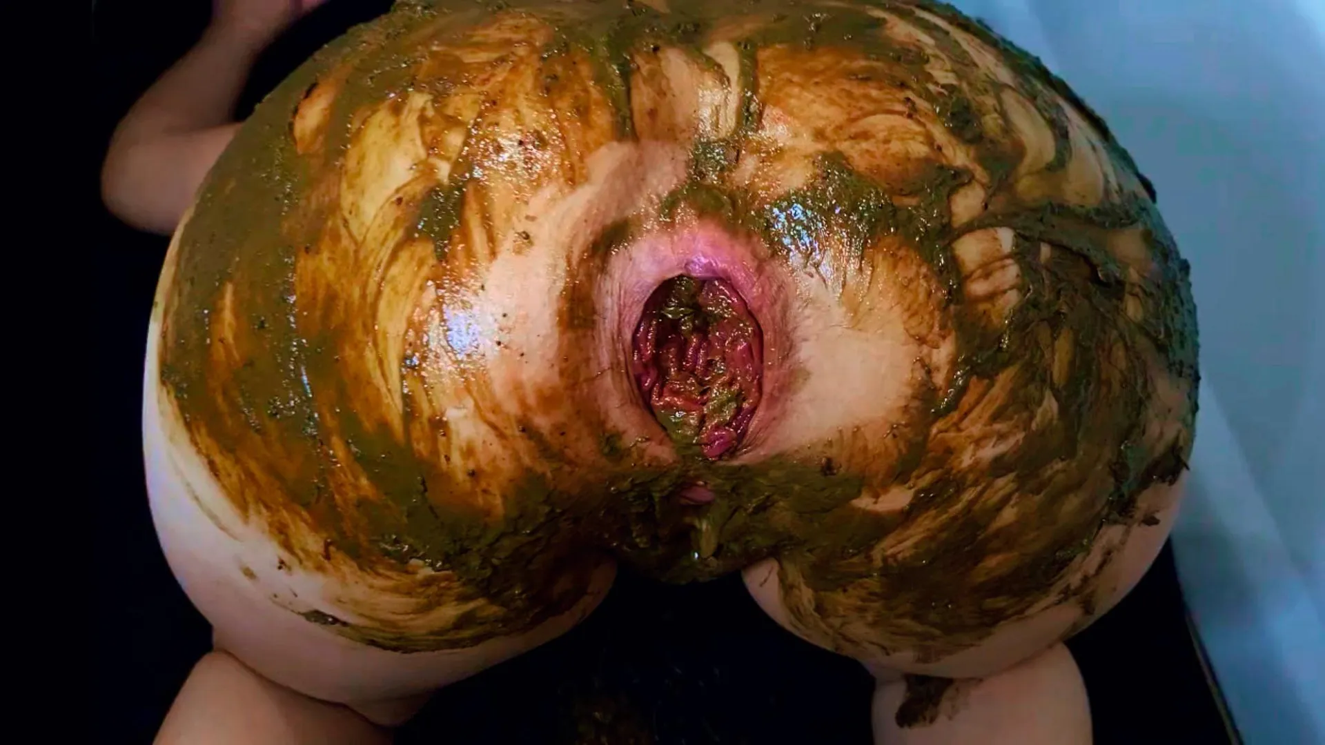 [F] Broken Shithole after scat fisting session posted by Selena04g