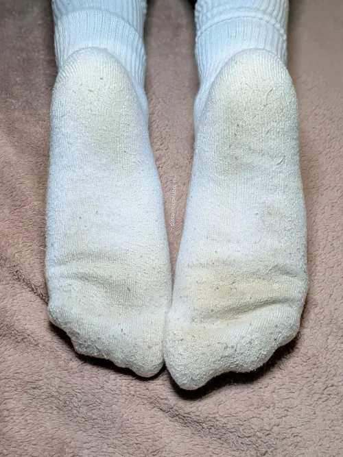 [F] Day 3: 48 Hours of Incubation ️ ​They’re moist, heavy with pilling, and the aroma is intense. ​Putting them back on this morning was an experience.  ​Wondering if they even need an extra day? by toenadosolesvip