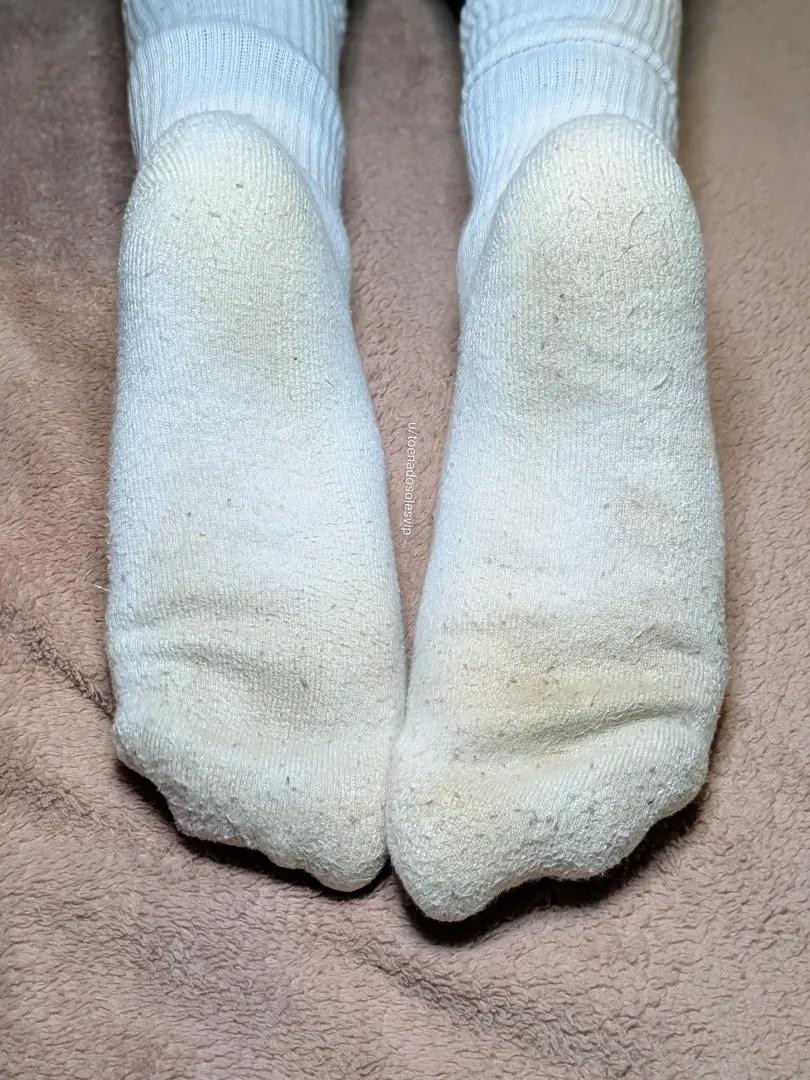 [F] Day 3: 48 Hours of Incubation ️ ​They’re moist, heavy with pilling, and the aroma is intense. ​Putting them back on this morning was an experience.  ​Wondering if they even need an extra day? posted by toenadosolesvip