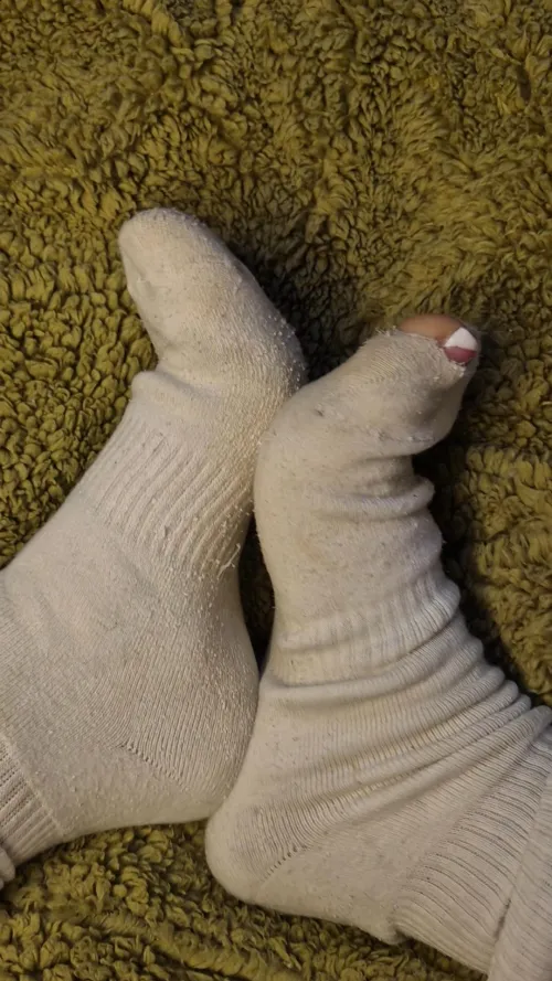 [F] eat my smelly socks loser by nodramajustreadit