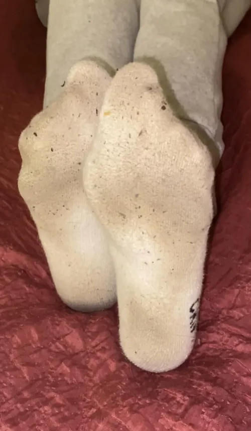 [F] Monday smelly socks by sharonsexyfeet