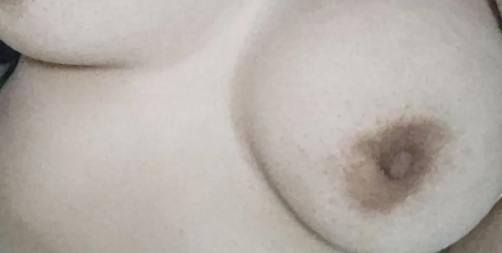 [F] Oopss. They're saying hi. by Sea-Version-9732