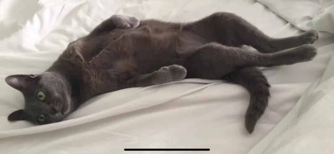 [f] Paint Me Like One of Your French Girls… by SpoiledHarlot