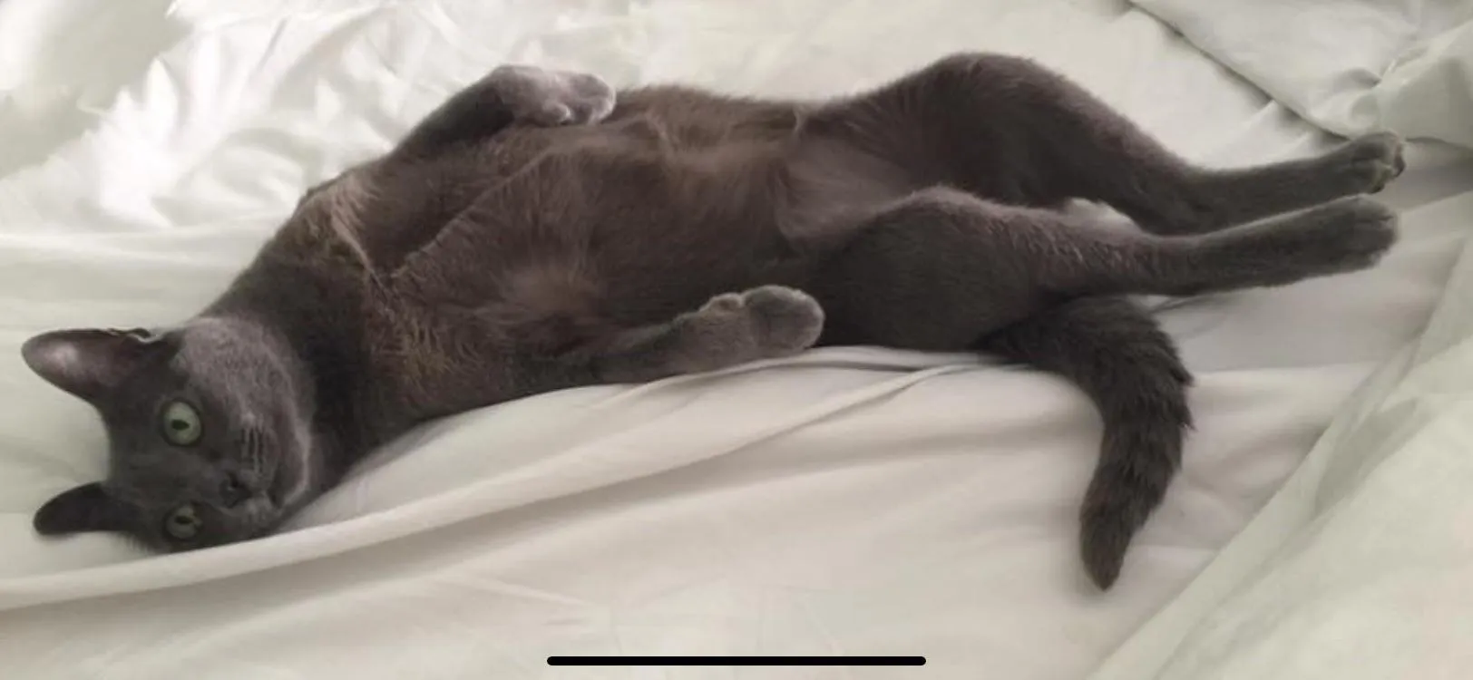 [f] Paint Me Like One of Your French Girls… posted by SpoiledHarlot