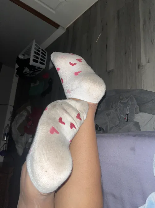 [F] room filled with the stink of these socks by Street_Discipline_