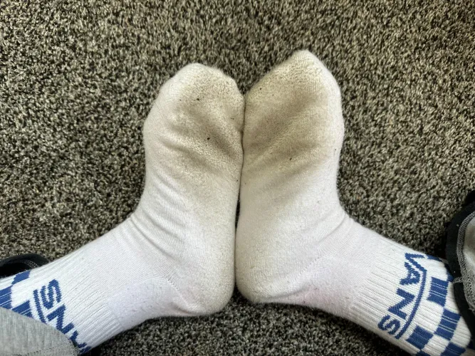 [F] they are getting pretty strong by Low-Anxiety3998