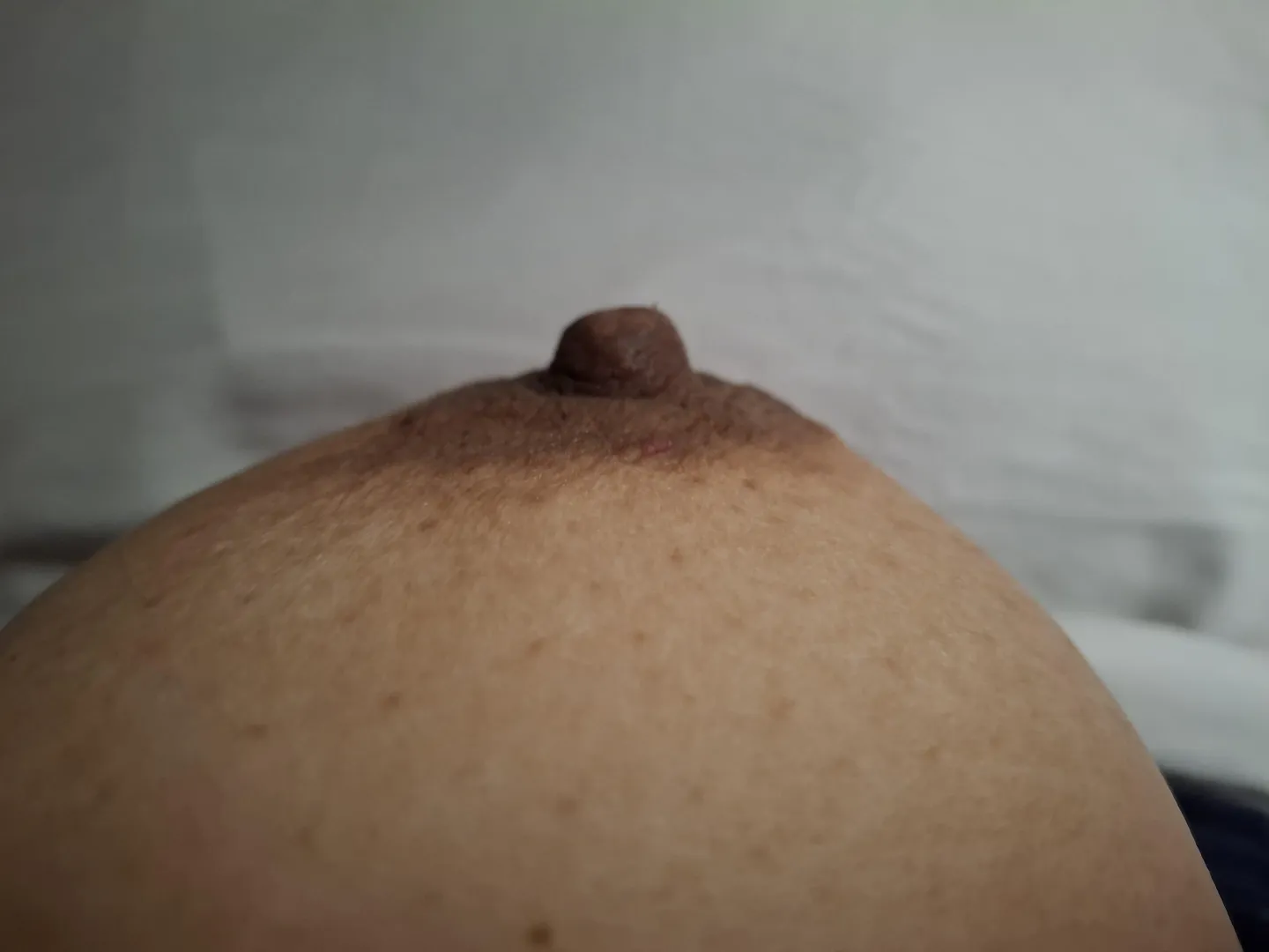 [F] they say Summit is the best: the peak! posted by pinkpongkyclub