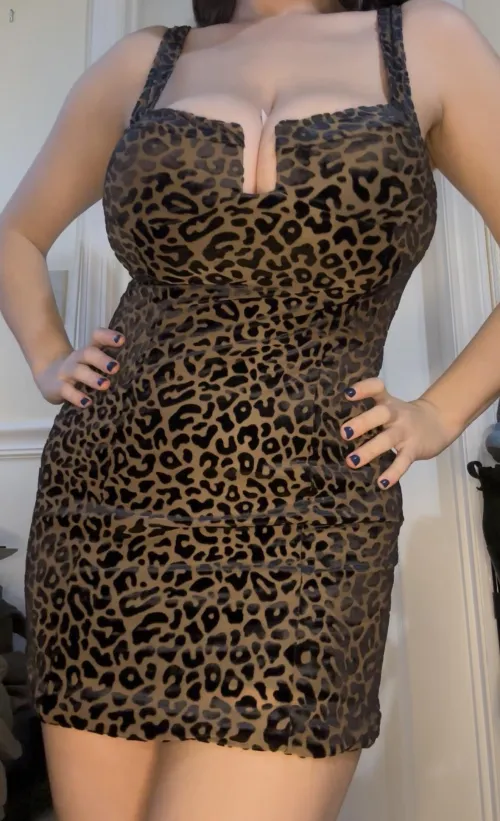 [F]A wild print for gonemild (this is my mob wife dress btw) by VirginiaWillis6969